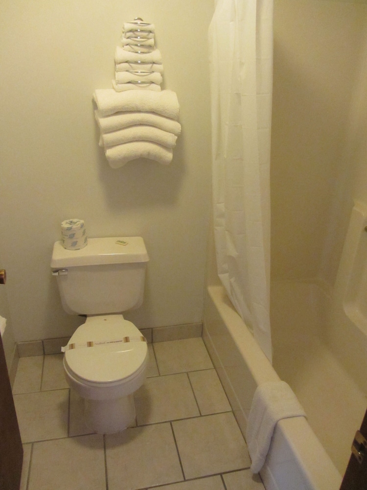 Green Dolphin Motel - photo 44