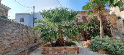 The Garden — Chios