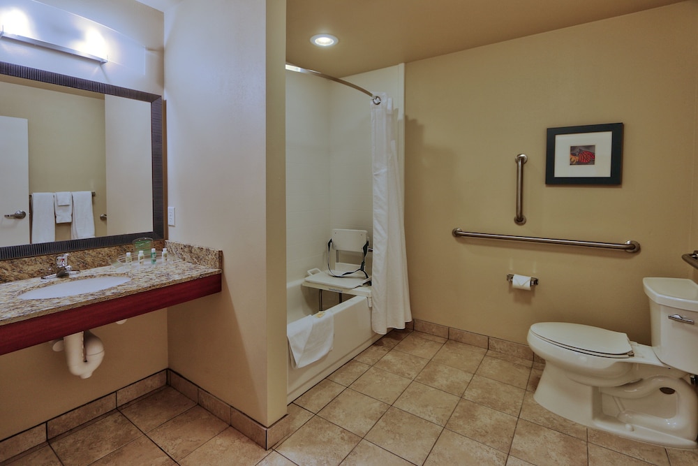 Holiday Inn Roswell by IHG - photo 9