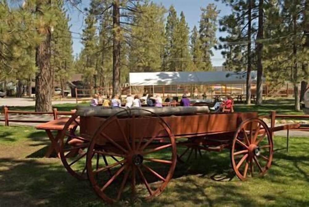 Golden Bear Cottages - photo 108
