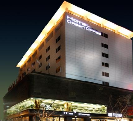 Green Grass in Seoul, South Korea