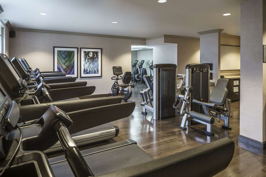 Hyatt Regency Coral Gables - photo 16