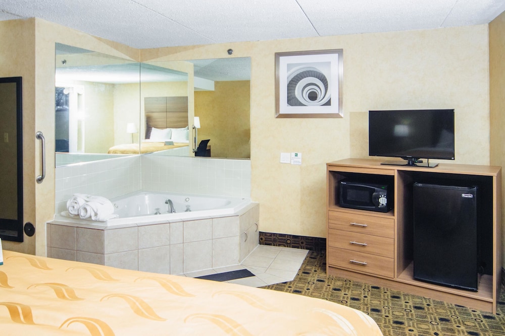 Quality Inn & Suites Coldwater near I 69 - photo 23