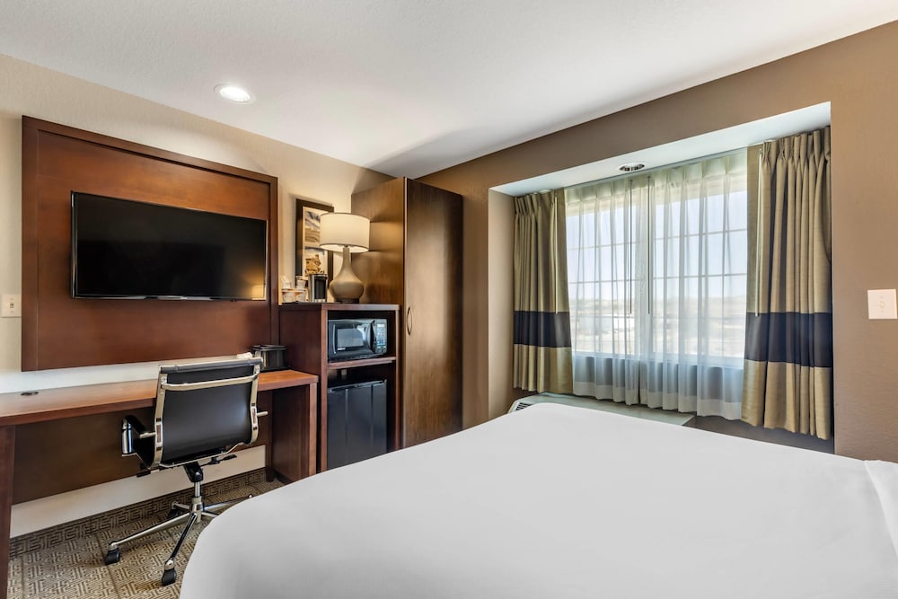 Comfort Inn & Suites Aztec Farmington Area - photo 23