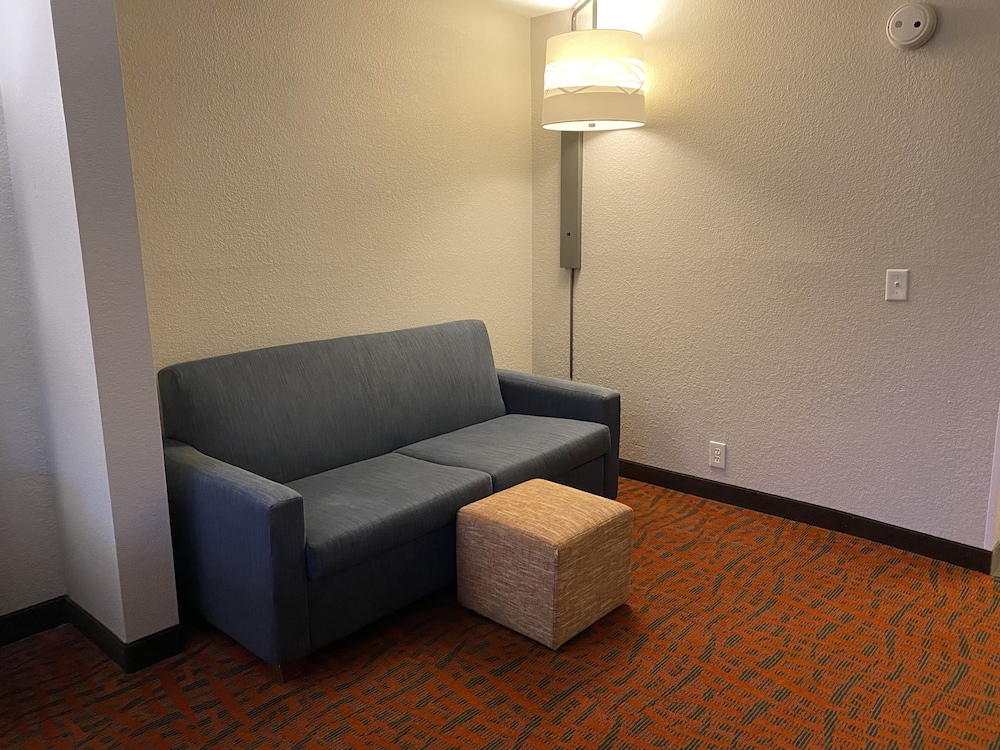 Holiday Inn Express Metropolis - photo 24