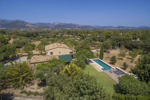 Finca Alzina 454 — Selva