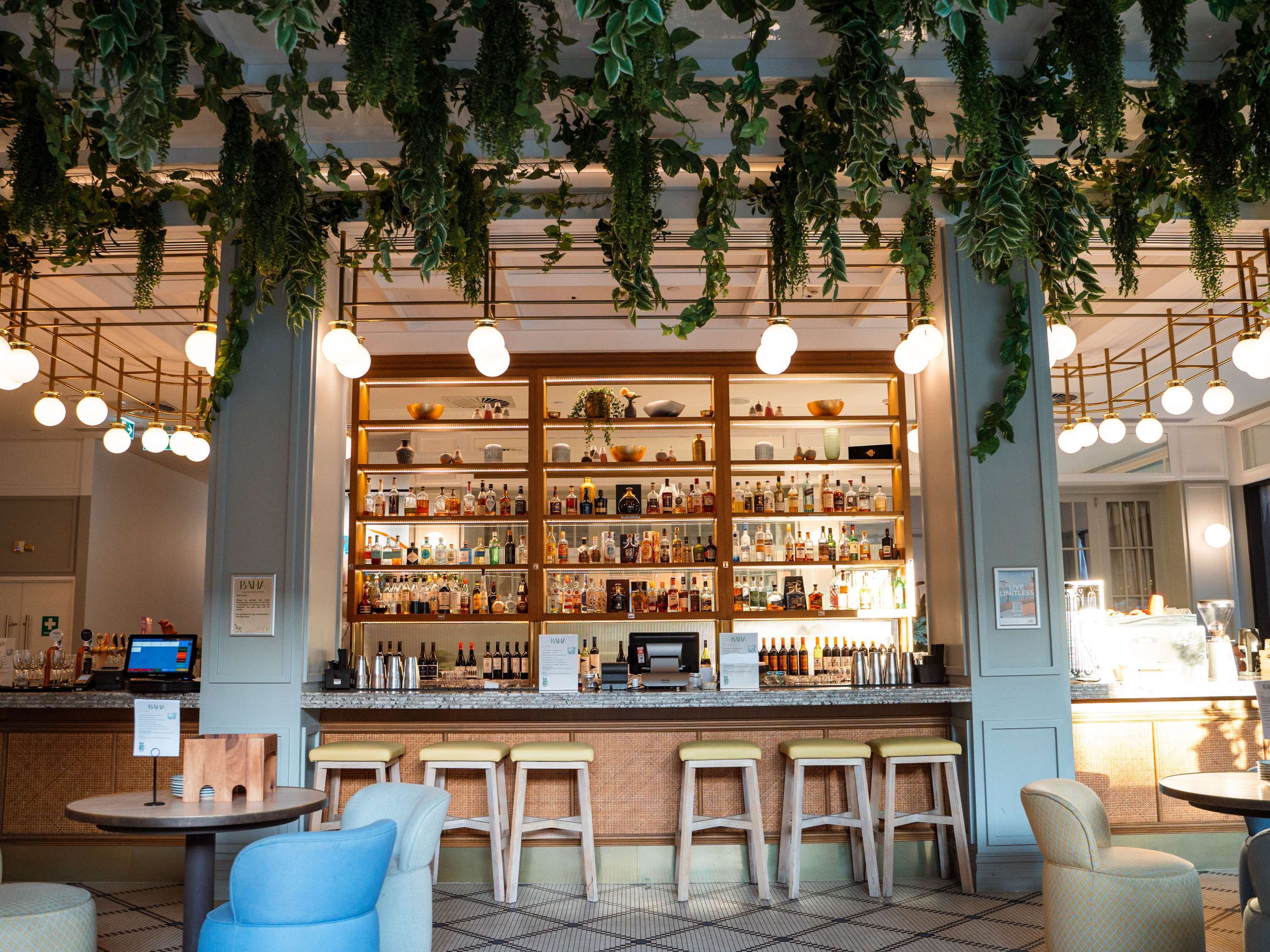 Art Series The Adnate