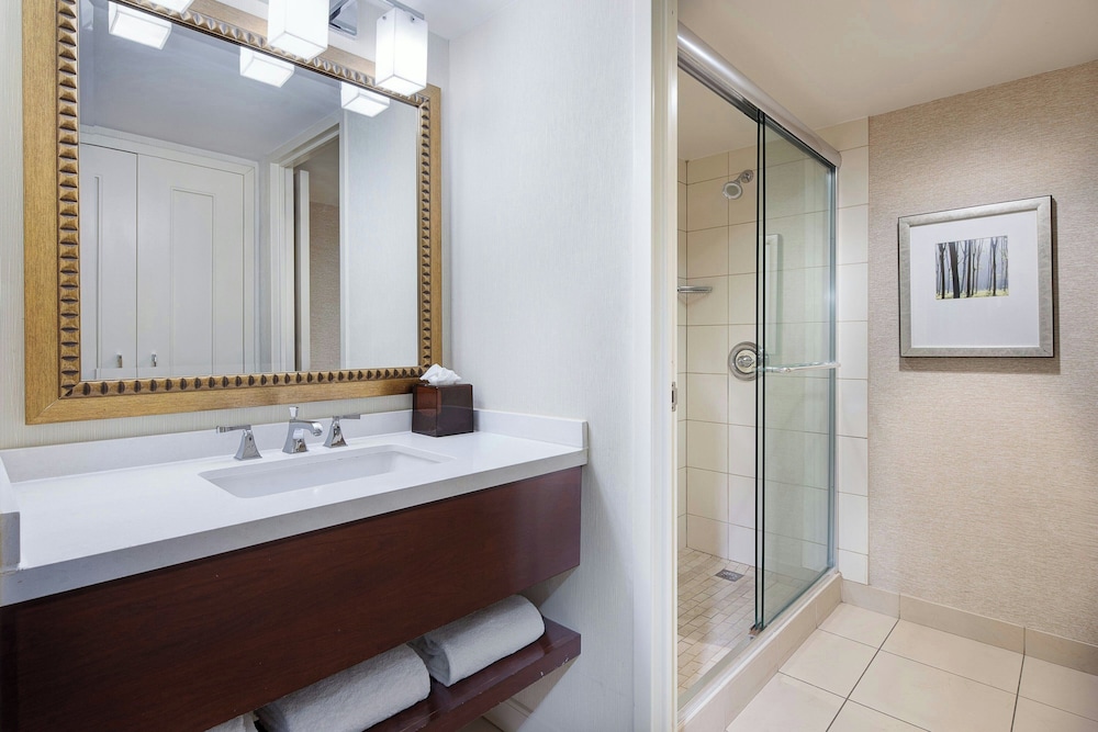 Marriott St. Louis West - photo 49
