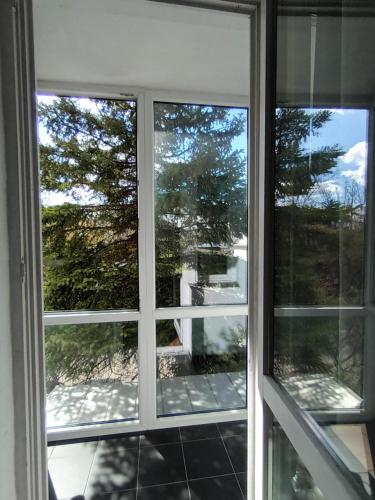Hotel Leon — Biala Podlaska — photo 3