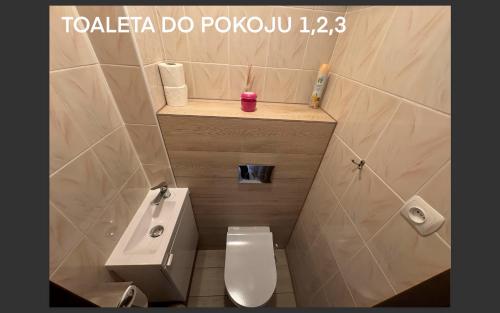 Willa Alka in Miedzyzdroje, Poland