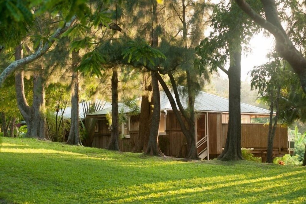 Hale Kukui Orchard & Cottages - photo 6