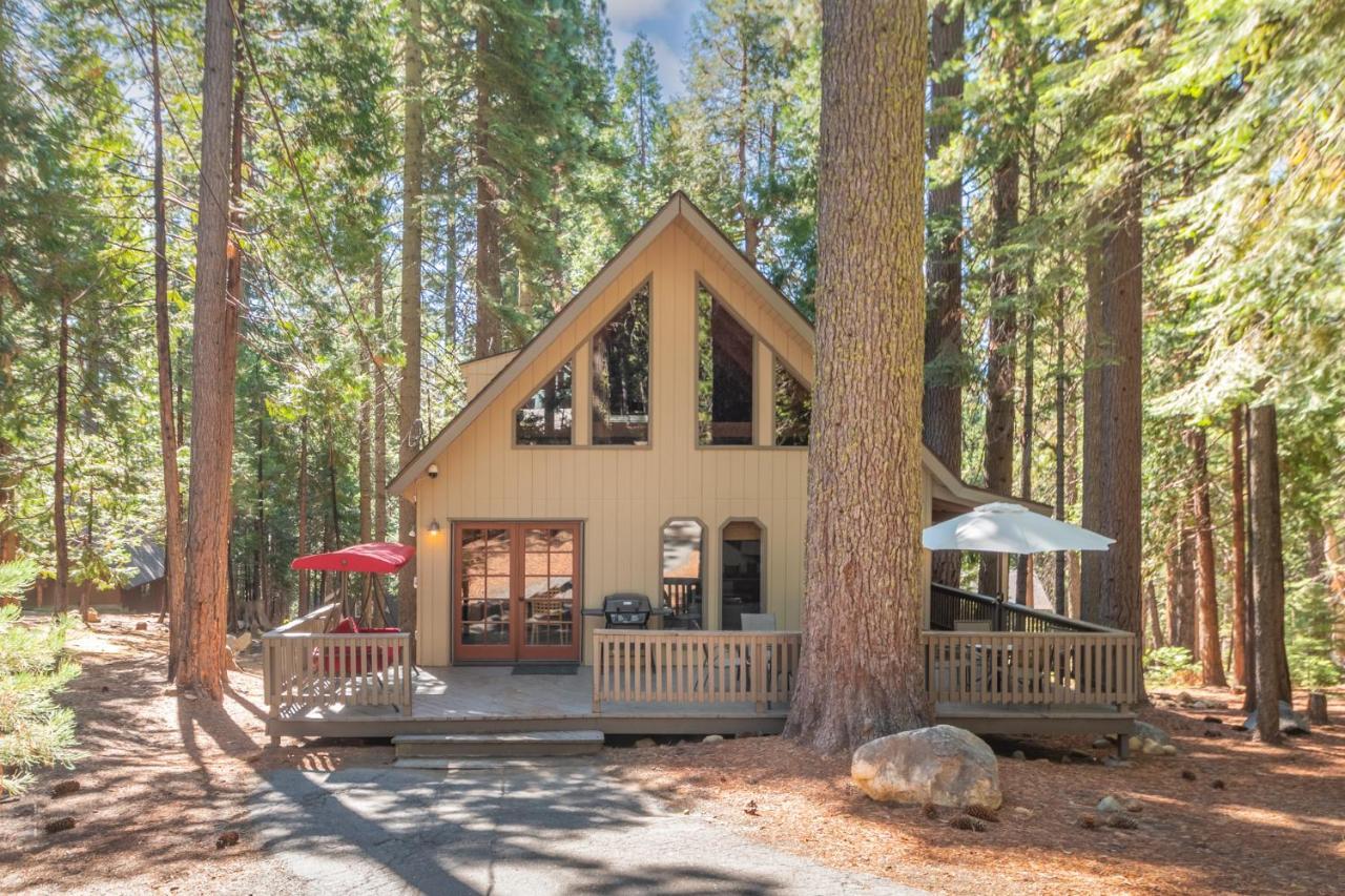 Moonlit Pines in Arnold, United States