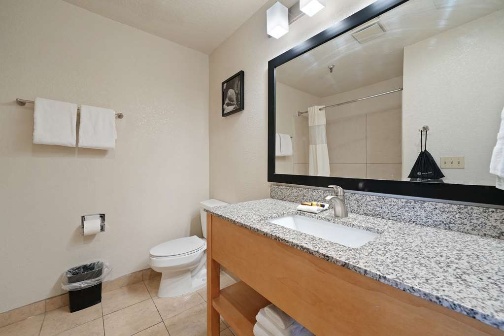 Best Western Plus Executive Inn & Suites - photo 41