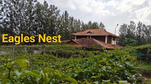 Eagles Nest in Unknown City, India