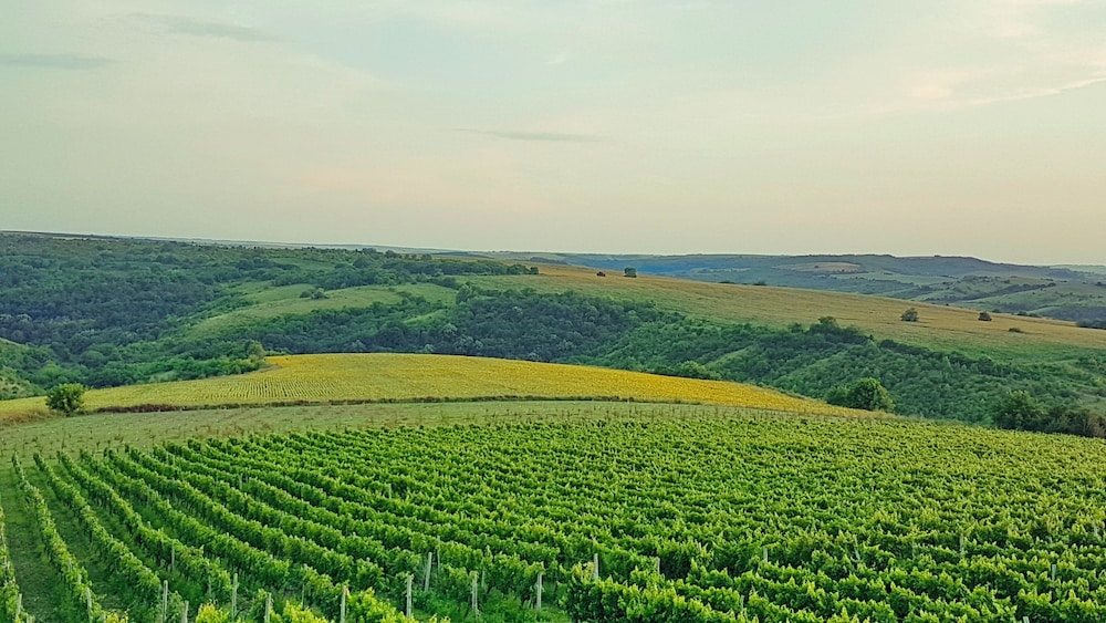 Seven Generations Winery Hotel & SPA in Ivanovo, Bulgaria