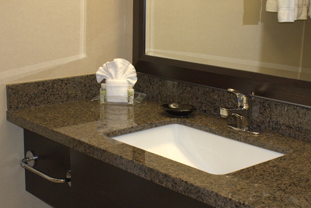 Grand Royal Hotel O'Hare Chicago - photo 6