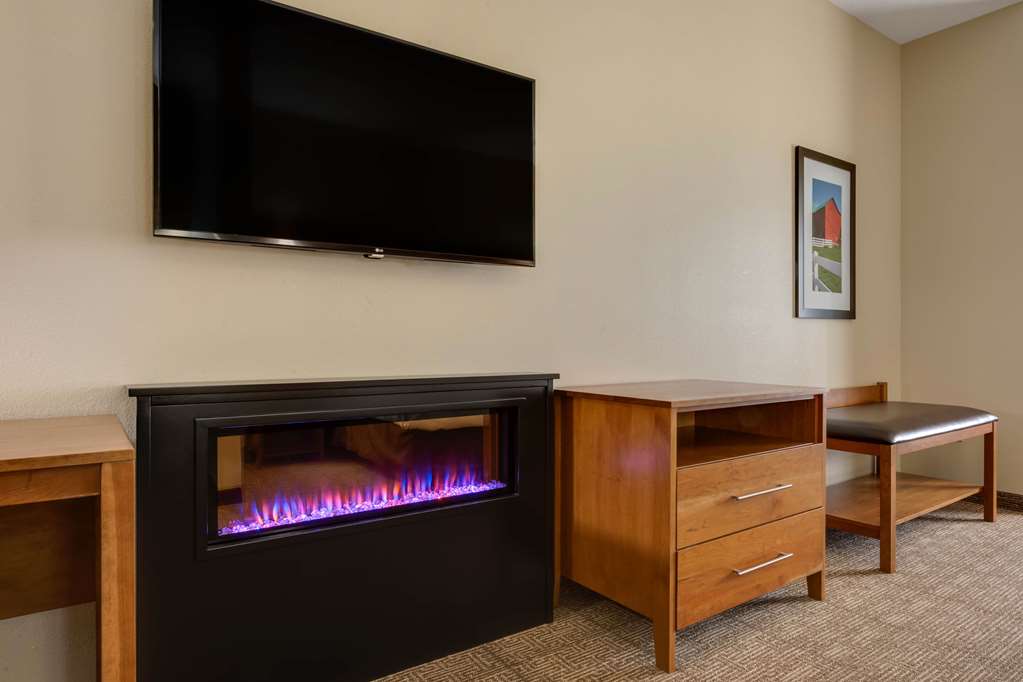 Comfort Suites Hotel and Conference Center - photo 13