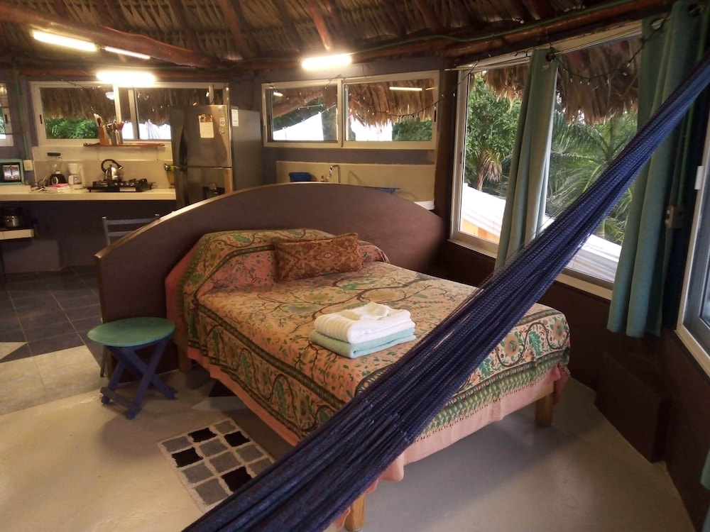 Agave Blue Bacalar — Bacalar — photo 3