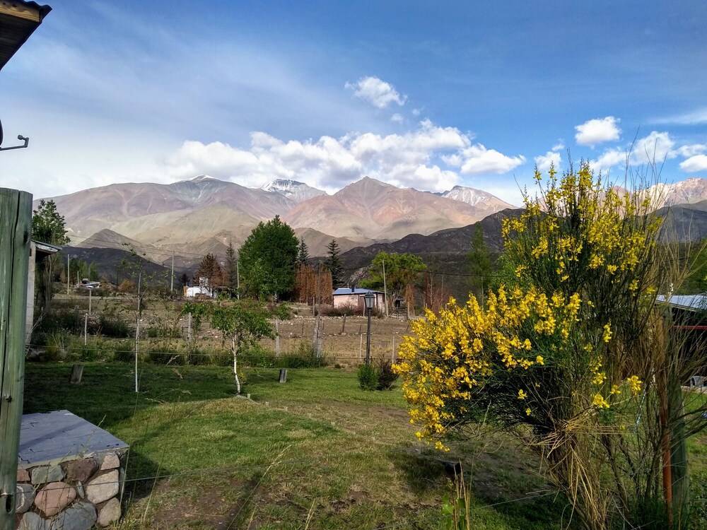 Los Coirones in Unknown City, Argentina