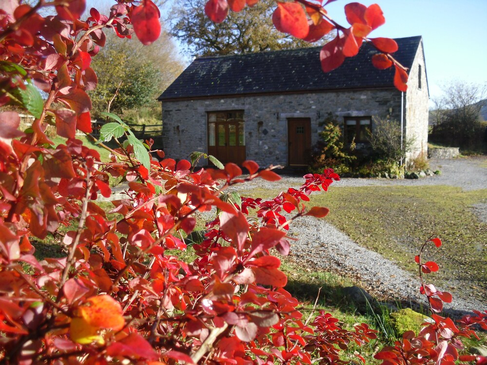 Cae R Beili — Llandovery