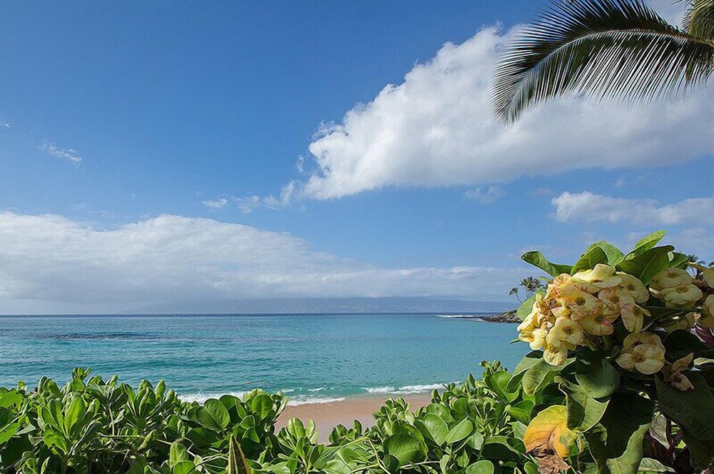 Hale Napili - photo 37