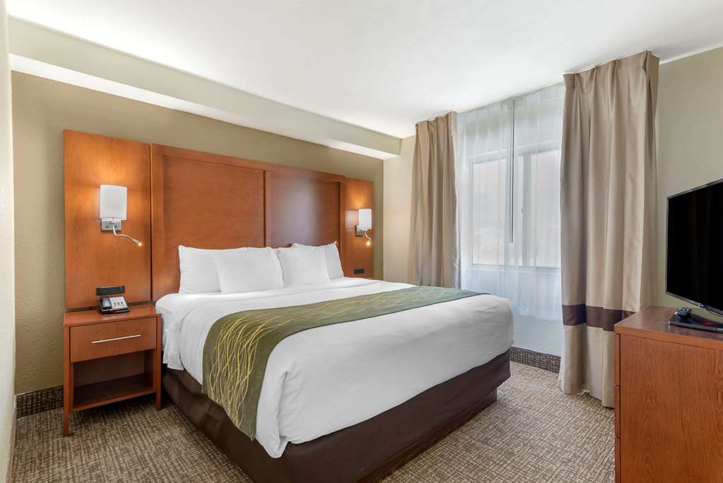 Comfort Inn & Suites near Robins Air Force Base Main Gate - photo 19