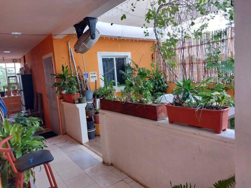 5 Estudio Planta Alta con terraza — Cozumel — photo 4