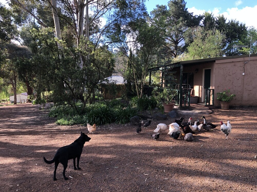 Country Cottages Of Bridgetown — Bridgetown