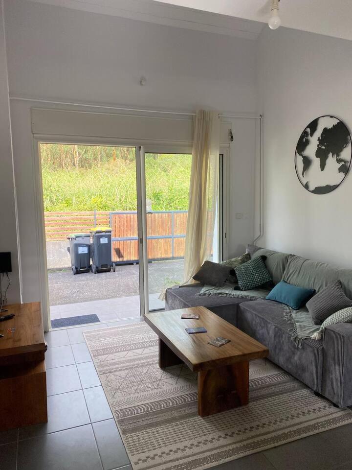 Hortensia in Unknown City, Réunion