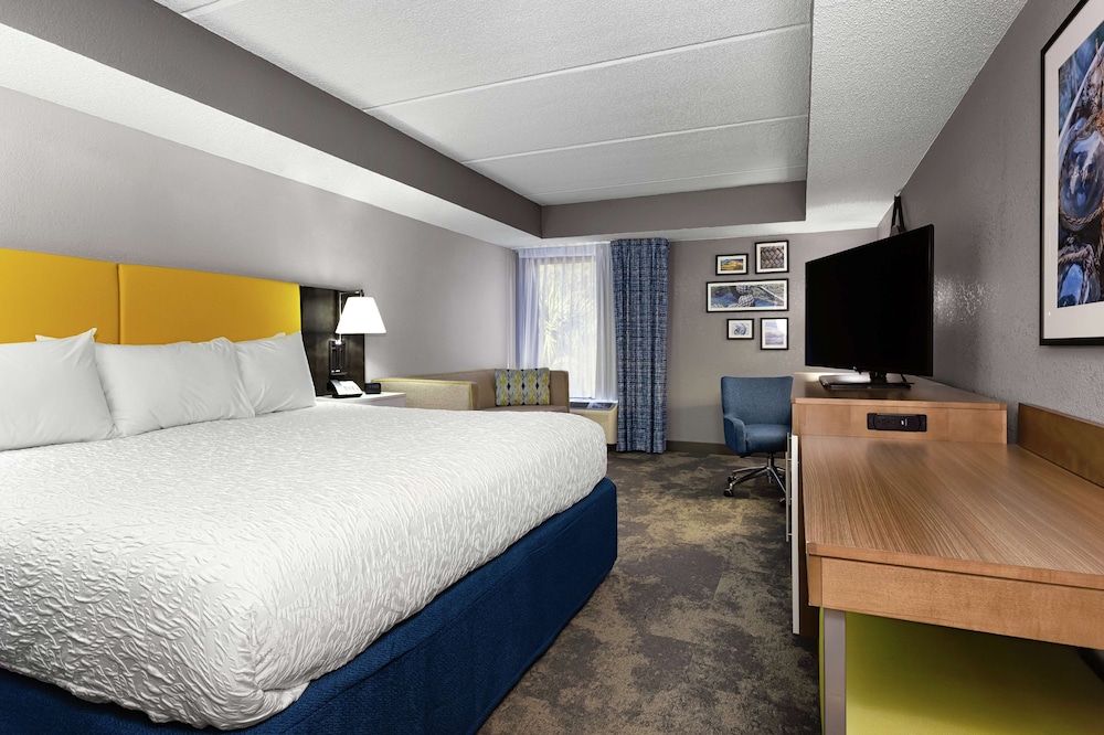 Hampton Inn Amelia Island at Fernandina Beach - photo 17