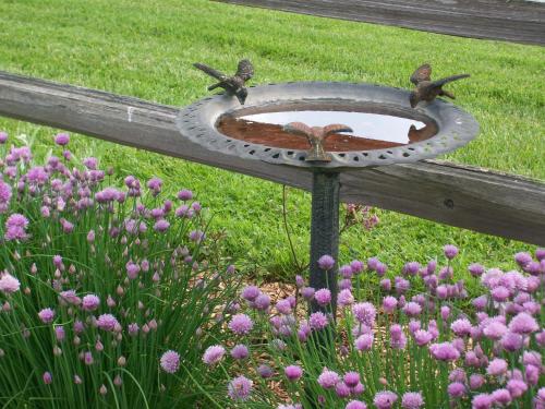 Inn & Spa at Cedar Falls - photo 30