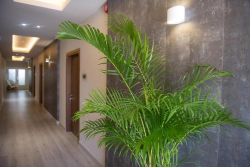 Manolia City Residences