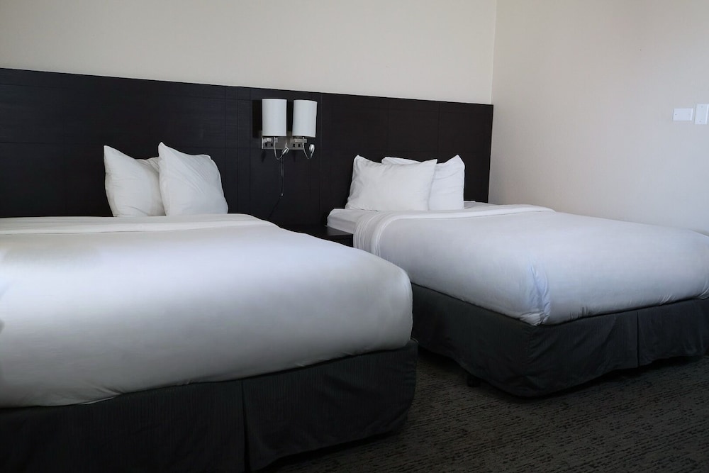 La Junta Inn - photo 14