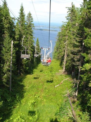 KoliCarelia Cottages — Lieksa — photo 3