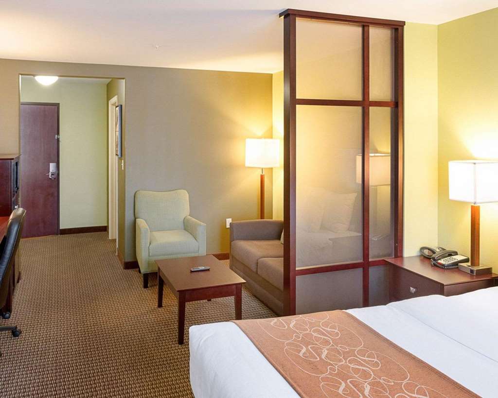 Comfort Suites Harvey New Orleans West - photo 19