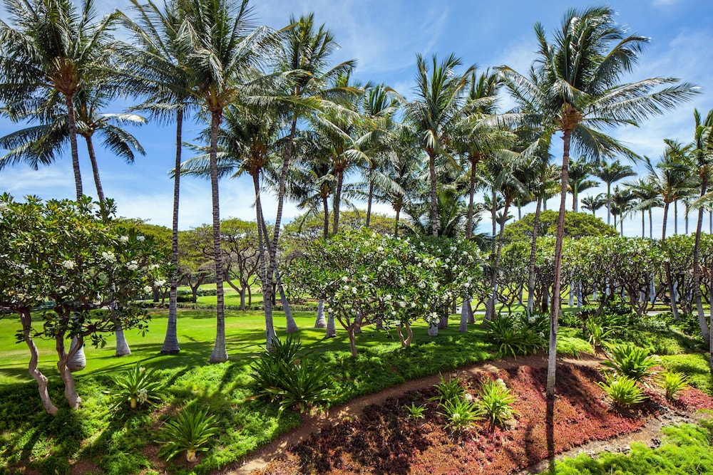 The Westin Hapuna Beach Resort - photo 199