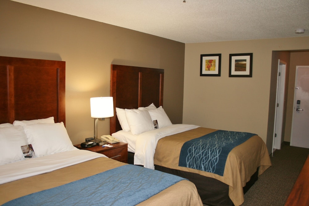 Bristol Arcadia Inn - photo 10