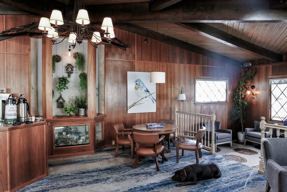 Bluebird Inn - photo 2