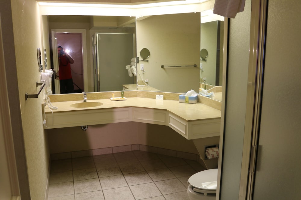 Imperial Swan Hotel & Suites - photo 19