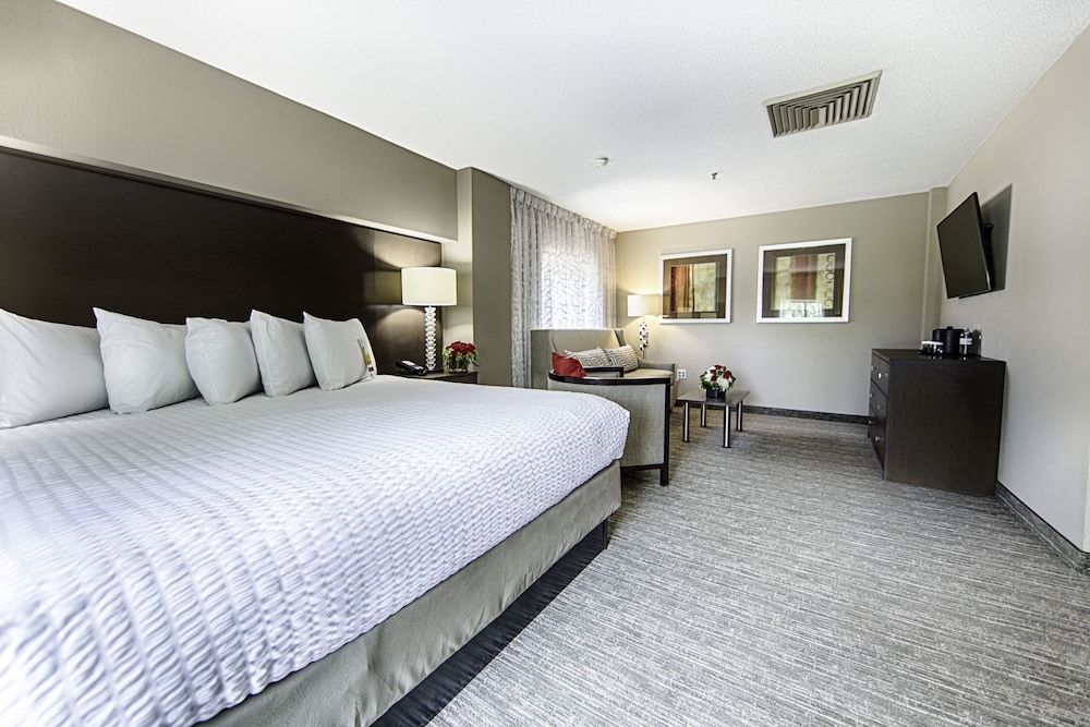 Hotel Capstone - photo 17