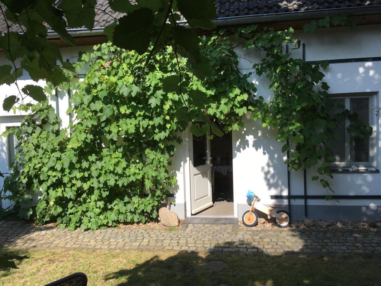 Storchenblick - carbon neutral hotel in Straupitz