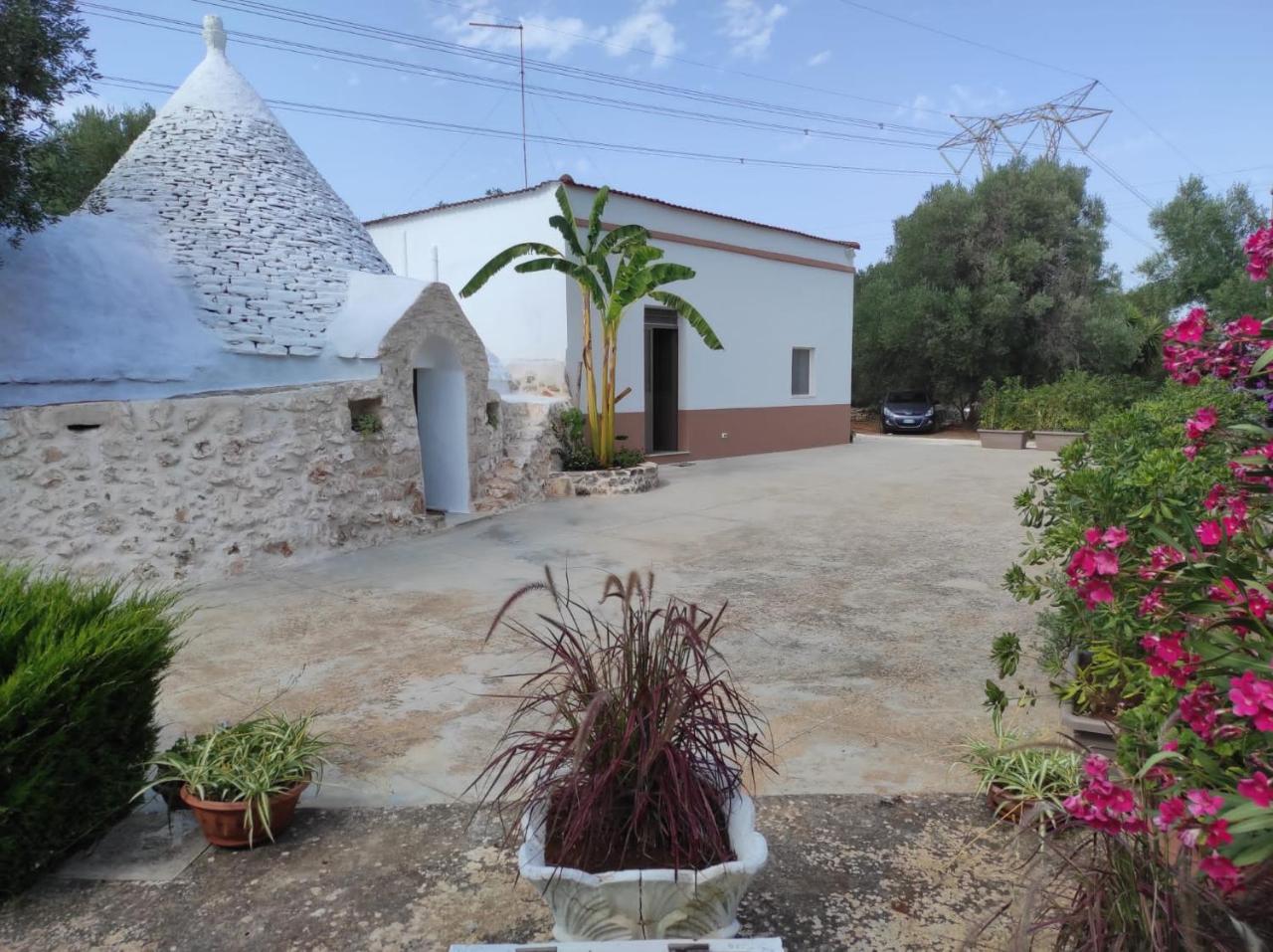 Il Trullo Di Nonno Mingo — Ceglie Messapica