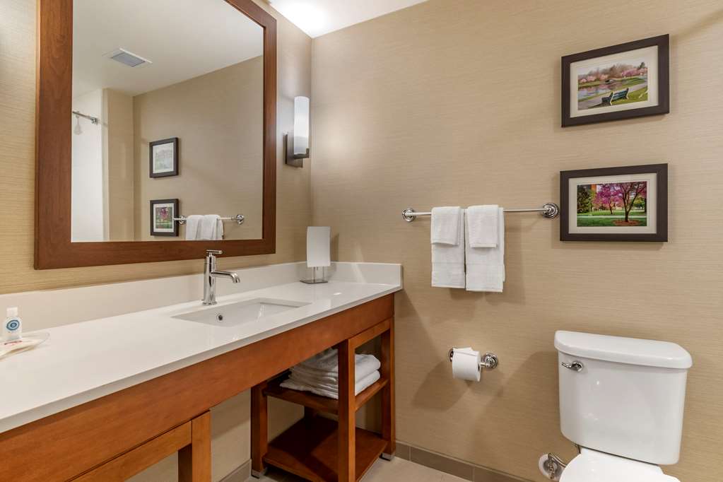 Comfort Suites Camp Hill Harrisburg West - photo 18