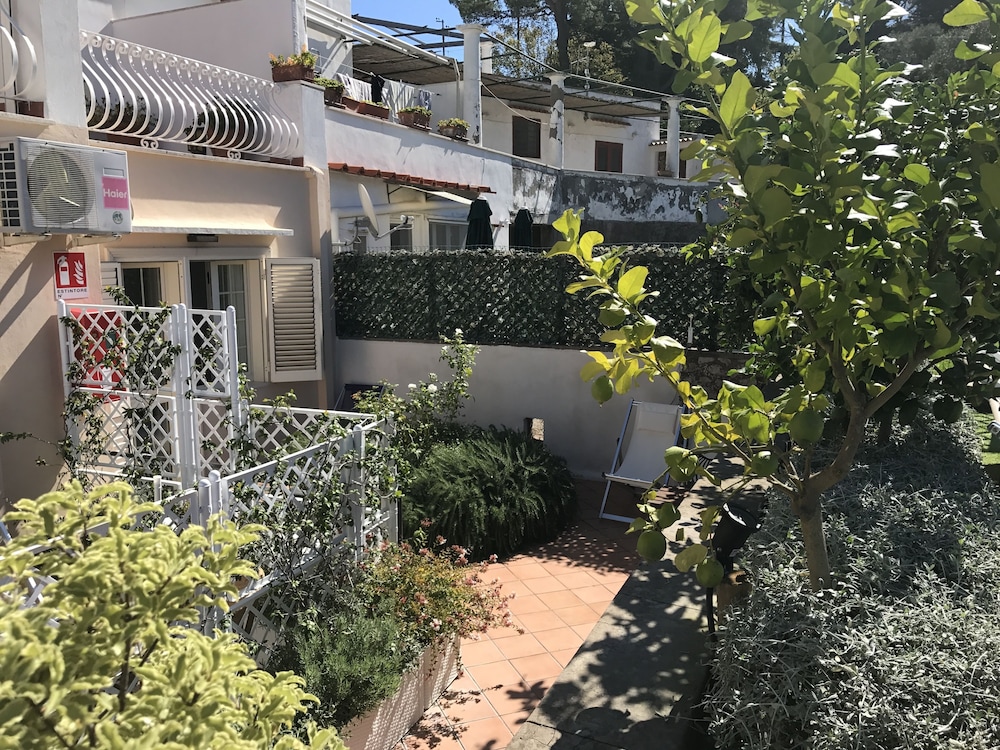 Reginella — Capri — photo 3