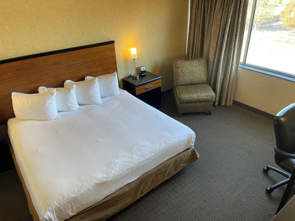 Quality Hotel Philadelphia Airport - photo 2