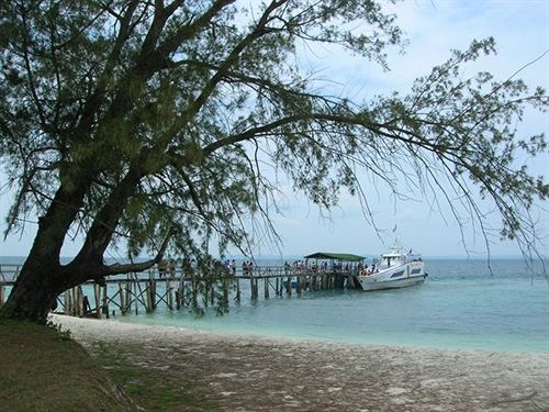 Dcoconut Island Resort — Mersing — photo 5