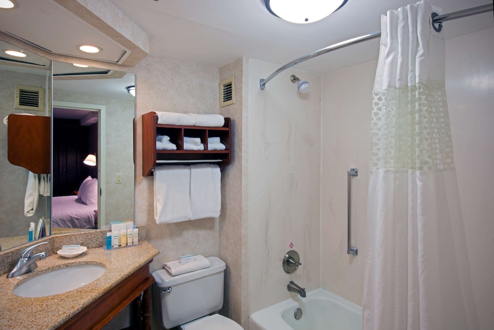 Hampton Inn West Springfield - photo 24