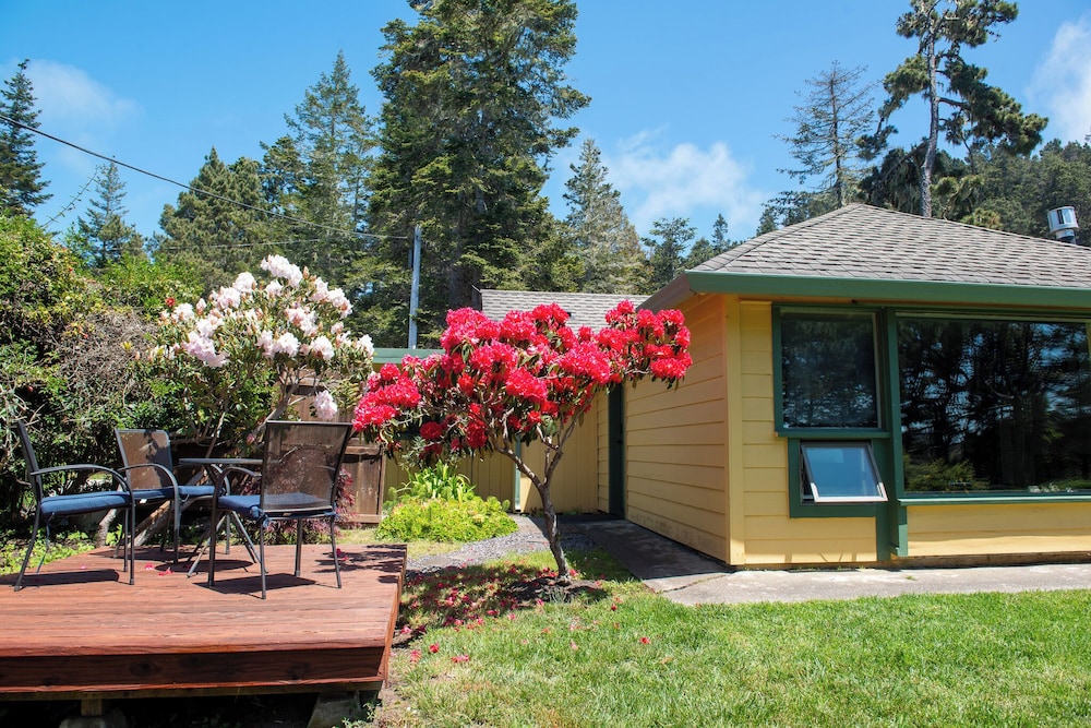 Inn at Buckhorn Cove - photo 23