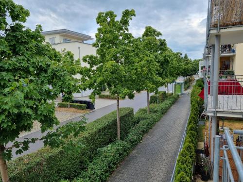 Loft Orchidee 2 — Uberlingen — photo 3