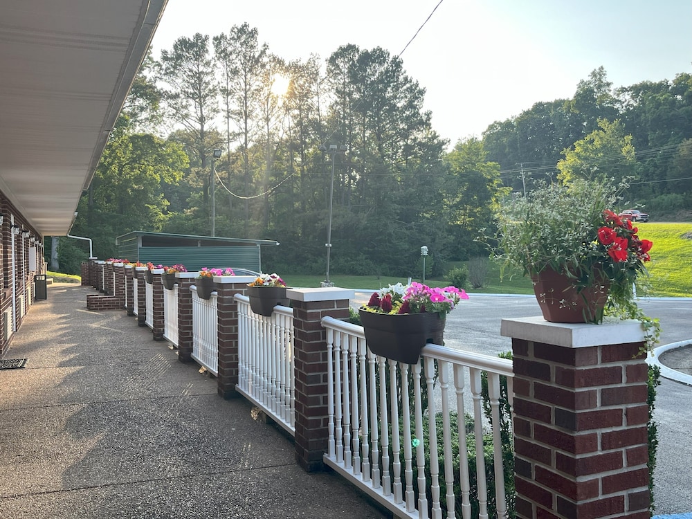 Pine Tree Inn - photo 49